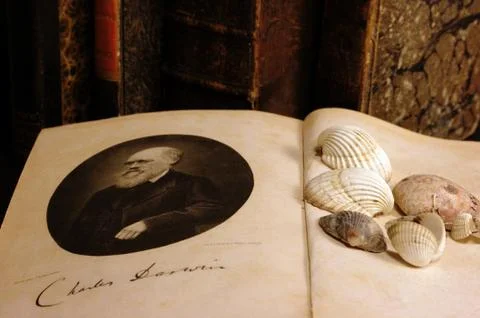Conceptual image for biological evolution - Charles Darwin Stock Photos