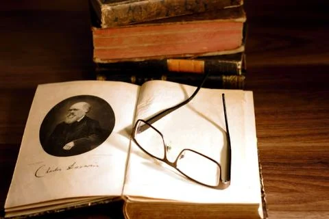 Conceptual image for biological evolution - Charles Darwin Stock Photos