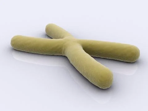 Conceptual image of chromosome. Stock-Illustration