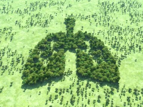 Conceptual image of a forest in shape of lungs - 3d illustration Stock Illustration