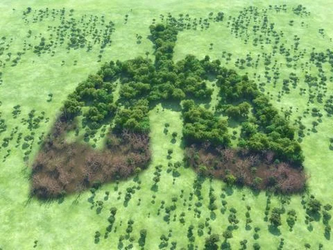 Conceptual image of a forest in shape of lungs with a stretch of dry forest- Illustrazione stock
