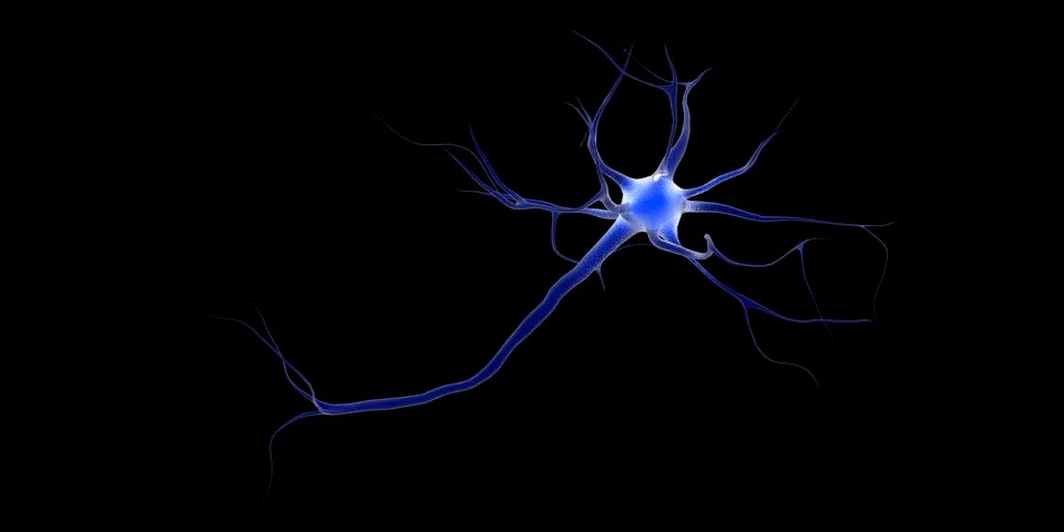 Conceptual image of a neuron. Stock Illustration