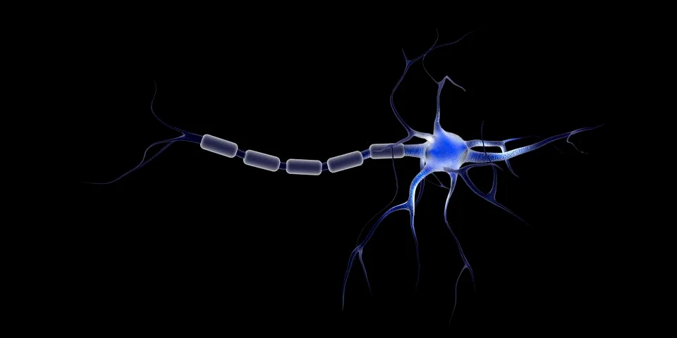 Conceptual image of a neuron. Stock Illustration