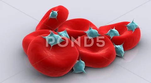 Conceptual image of platelets with red blood cells.: Royalty Free #52485682