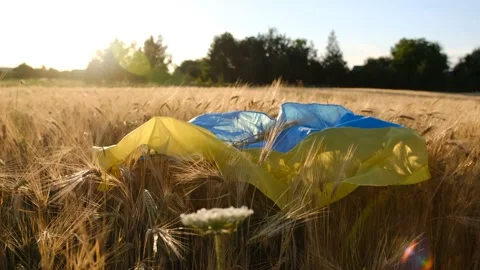 Conceptual image of Ukraine's map, global food crisis caused by Russia invasion Stock Footage 201523799
