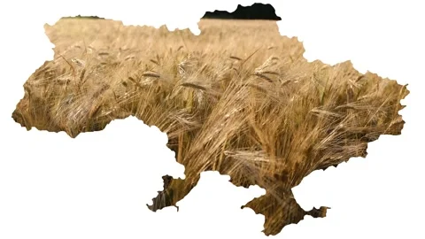 Conceptual image of Ukraine's map, global food crisis caused by Russia invasion Stock Footage 212467715
