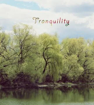 Conceptual landscape with text: tranquility Fotos Stock