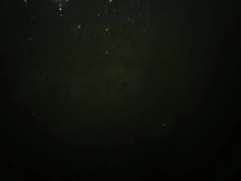 Conceptual liquid dark pattern with different elements  with shadows and ligh Foto stock