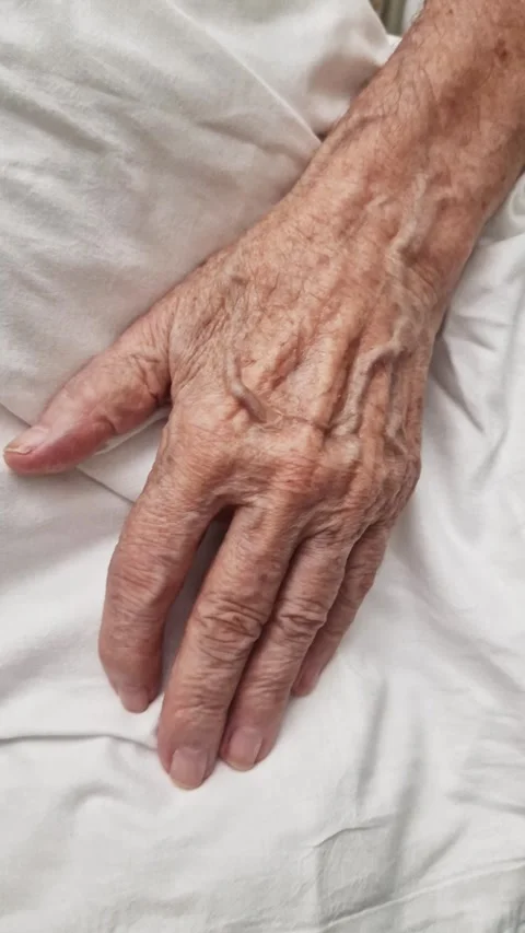 Conceptual macro video showing texture of aging skin Stock Footage 337469881