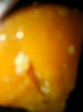 Conceptual orange gradient wallpaper with different elements and shiny parts 库存照片