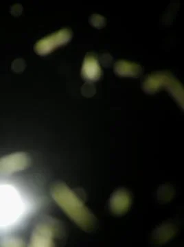 Conceptual particles blurry wallpaper pattern with different elements  with s Stock Photos