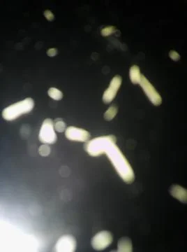 Conceptual particles blurry wallpaper pattern with different elements  with s Foto stock