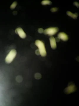 Conceptual particles blurry wallpaper pattern with different elements  with s Stock Photos