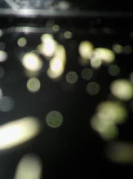 Conceptual particles blurry wallpaper pattern with different elements  with s 写真素材