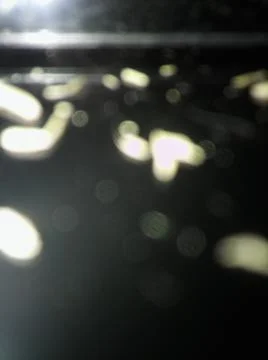 Conceptual particles blurry wallpaper pattern with different elements  with s Stock Photos