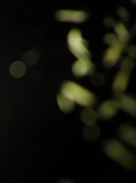 Conceptual particles dark texture with different elements. Texture with abstr 스톡 사진