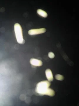 Conceptual particles dark texture with different elements. Texture with abstr 스톡 사진