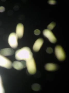 Conceptual particles dark texture with different elements. Texture with abstr 스톡 사진