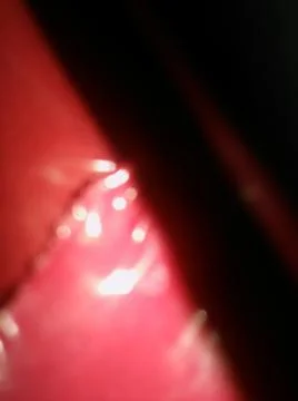 Conceptual pink wallpaper pattern with different elements  with shadows and l Stock Photos