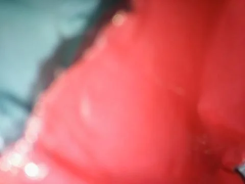 Conceptual pink wallpaper pattern with different elements  with shadows and l Stockfoto's