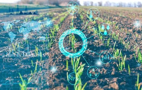 Conceptual presentation of the collection of important data and analysis of p Stock Photos