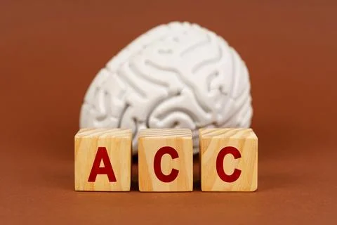 A conceptual representation showcasing the anterior cingulate cortex alongsid Fotos Stock