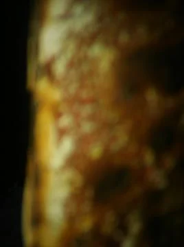 Conceptual rusty blurry wallpaper pattern with different elements  with shado Stock Photos