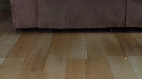 Conceptual shot of wedding ring dropped on laminate floor with person walking 動画素材 331492925