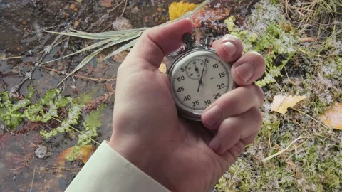 Conceptual shot, winter is coming Stock Footage 235154863