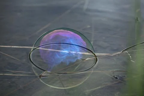 Conceptual soap bubbles Stock Photos