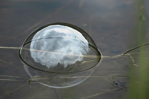 Conceptual soap bubbles Stock Photos