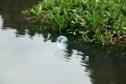 Conceptual soap bubbles Stock Photos
