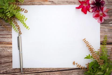 Conceptual space for text, which consists of blank paper, azalea, basil flowe Stock Photos