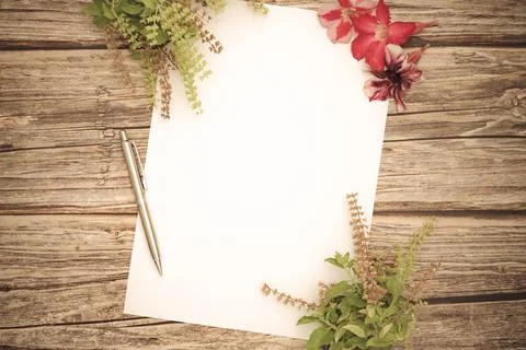 Conceptual space for text, which consists of blank paper, azalea, basil flowe Stock Photos