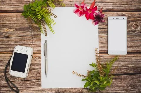 Conceptual space for text, which consists of blank paper, azalea, basil flo.. Stock Photos