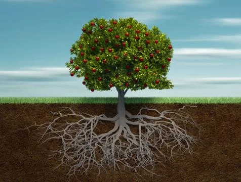 Conceptual tree with apple and root Illustrazione stock