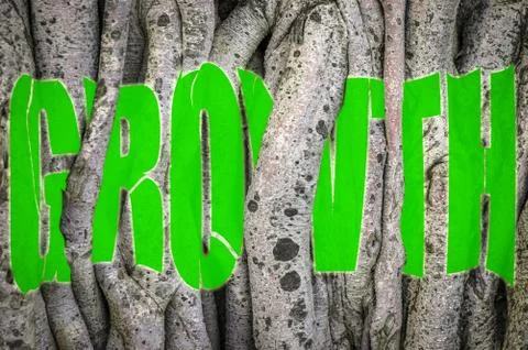 Conceptual Tree Growth Image Stock-Fotos