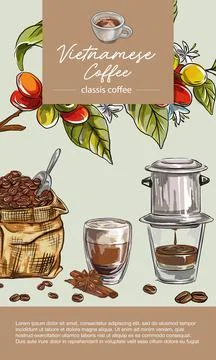 Conceptual vector illustration of coffee types banner. Graphic style elements Stock Illustration