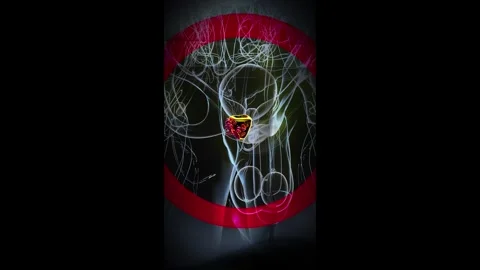Conceptual vertical 3D animation of a man and his prostate Stock Footage 265616081