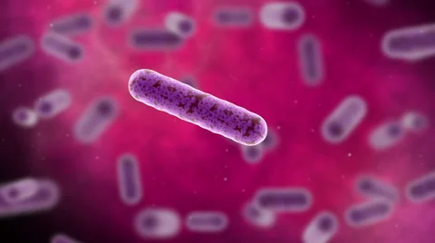 Conceptual video of bacteria multiplying. Stock Footage