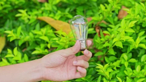 Conceptual video of hand presenting transparent light bulb over lush foliage Video stock 332034456