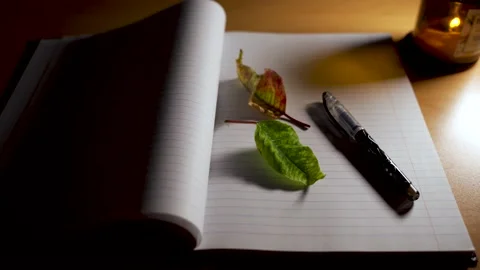 Conceptual video of an open notebook with pen, couple of semi dried leaves 스톡 동영상 147747368