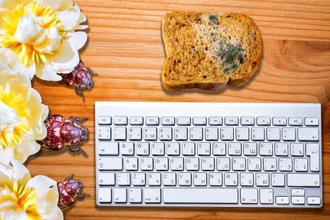 Conceptual view of computer bugs on striped wooden desk Stock Photos