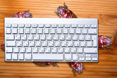 Conceptual view of computer bugs on striped wooden desk Foto stock