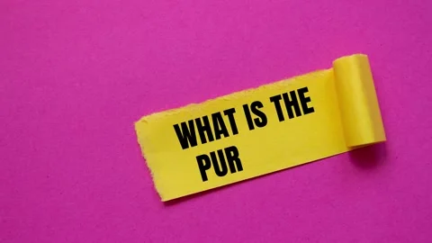 Conceptual what is the purpose question symbol Stock Footage 311369052