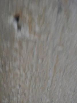 Conceptual white wallpaper with different elements and shiny parts Stock Photos