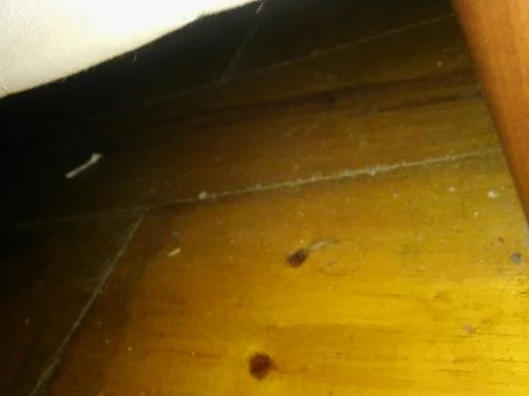 Conceptual wood pattern with different elements  with shadows and light Foto stock