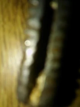 Conceptual wood pattern with different elements  with shadows and light Stock Photos