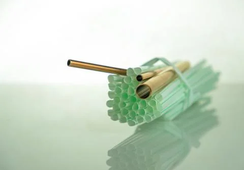 Conceptual of world issue on single use plastic against reusable steel straw. Stock Photos