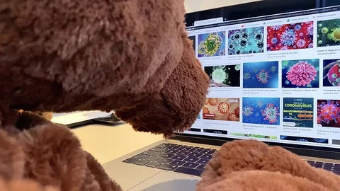 Concerns about the corona virus. Brown bear searches the computer for the virus 库存影片 128776491